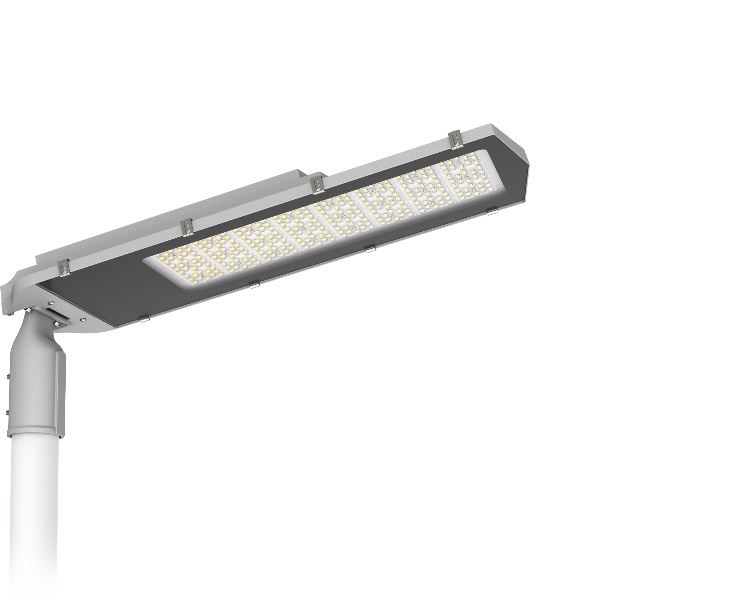 Golden Bright 81 01
