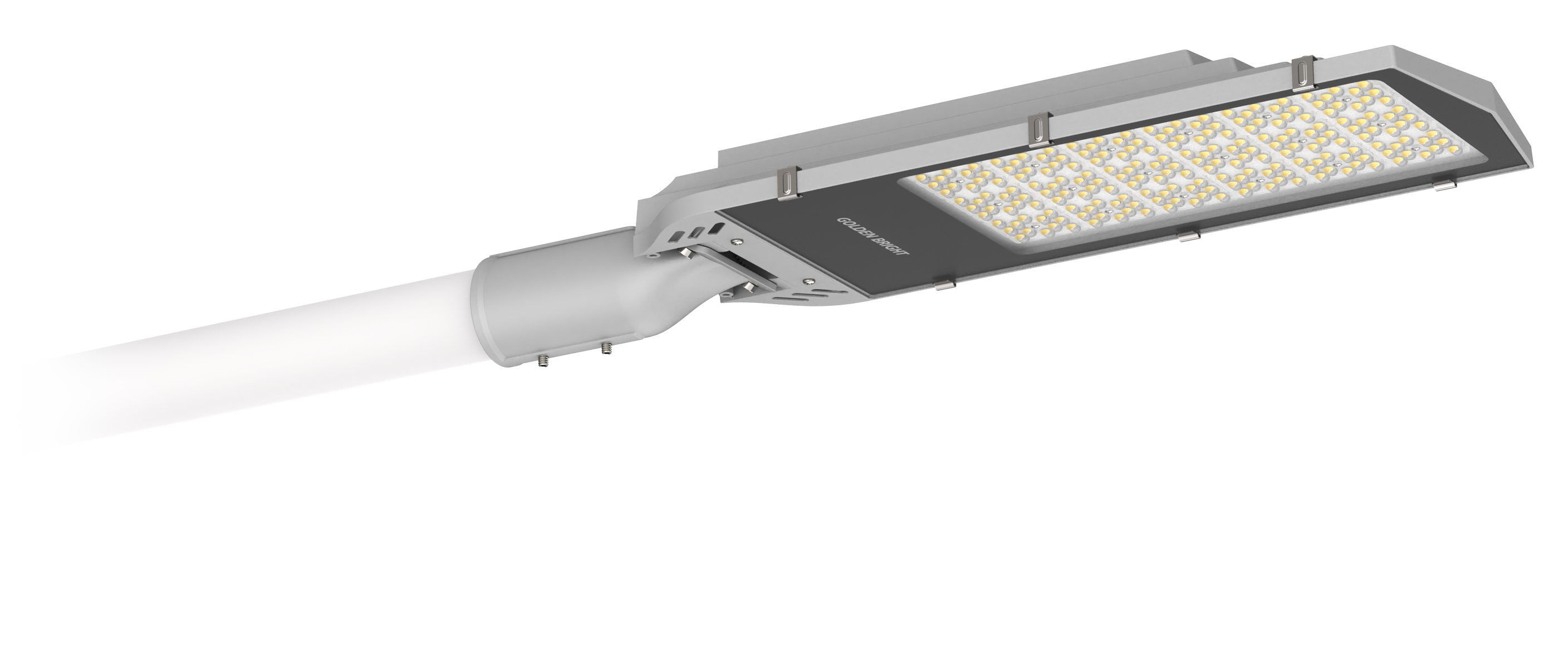 Golden Bright 81 06