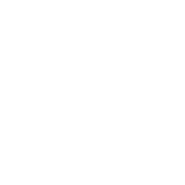Steel Pole