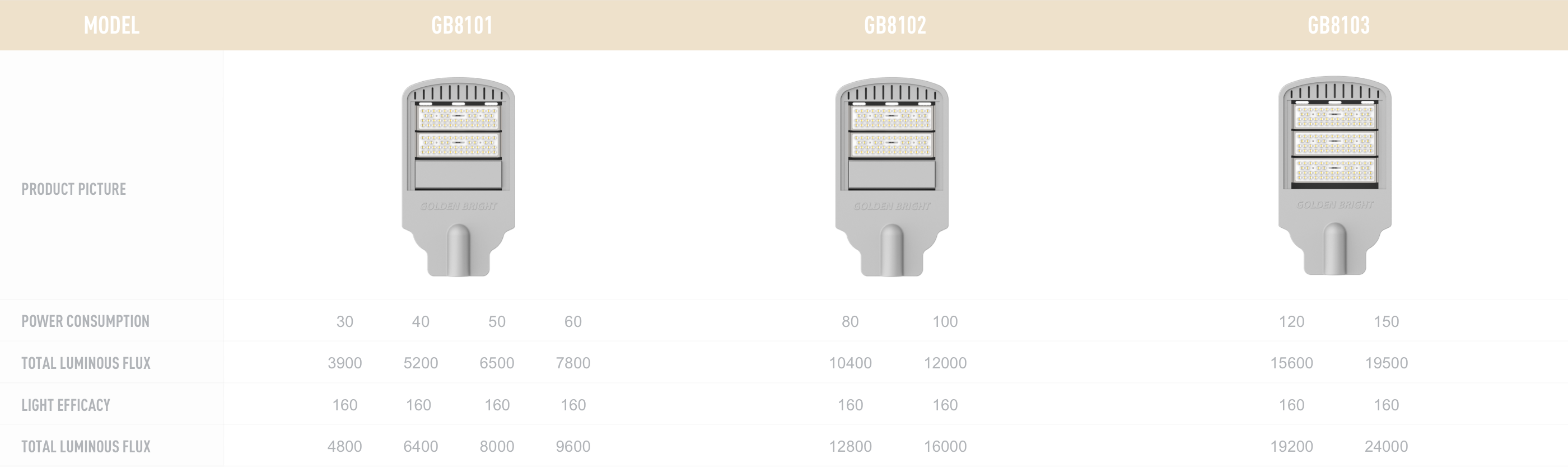 Golden Bright M31 04