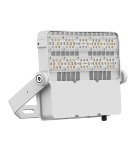Golden Bright FLX CP02